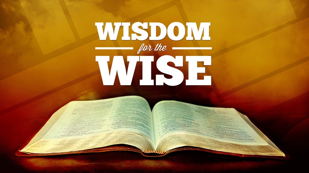 WisdomWiseHD1